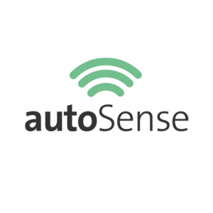 Logo-Autosense-GI-Dienstleistungen-Abrechnung-Flottenmanagement-w300xh300px